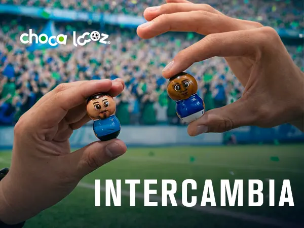 CHOCALOCOZ intercamvbio web